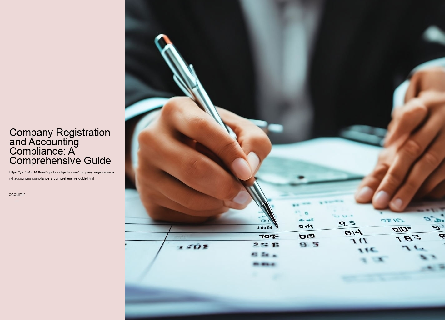 Company Registration and Accounting Compliance: A Comprehensive Guide